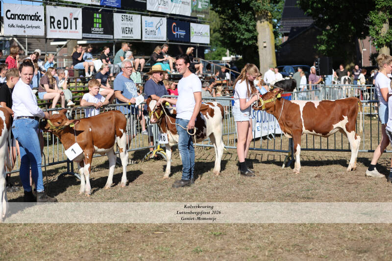 4t9a8898_resultaat-standard.jpg