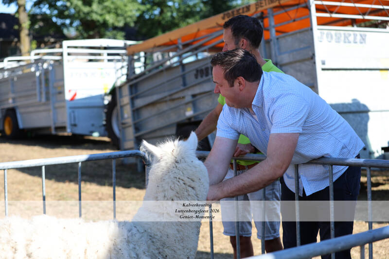 4t9a8905_resultaat-standard-726y81.jpg