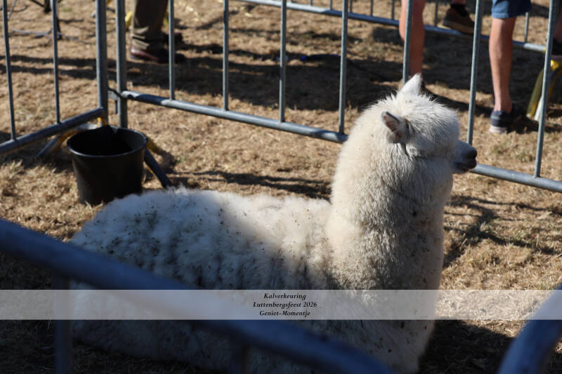 4t9a8906_resultaat-standard-8nvx91.jpg