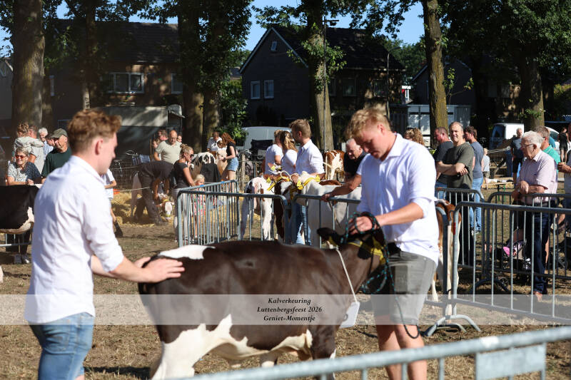 4t9a8907_resultaat-standard-lz6z0h.jpg