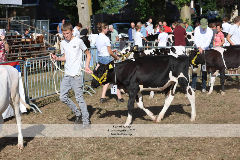 4t9a8909_resultaat-standard.jpg