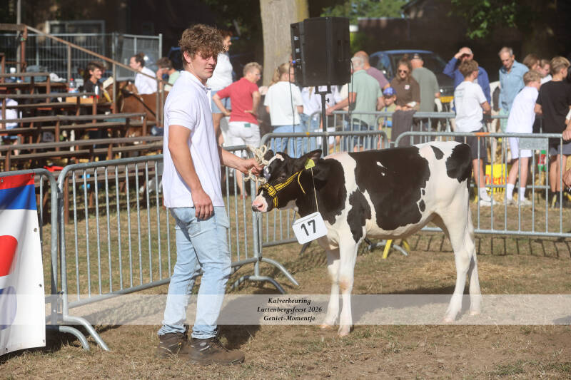 4t9a8914_resultaat-standard.jpg