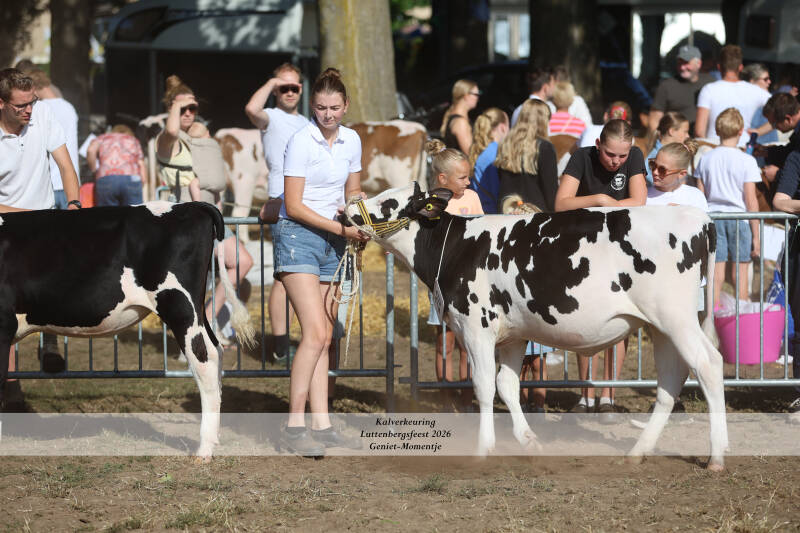 4t9a8916_resultaat-standard.jpg