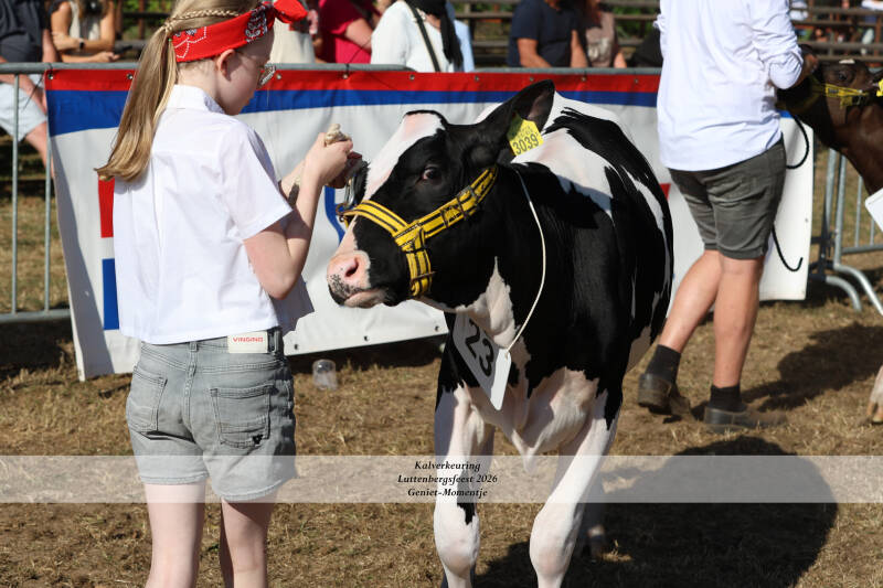 4t9a8923_resultaat-standard.jpg
