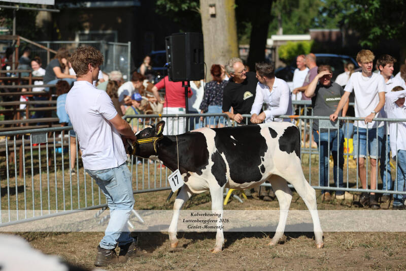 4t9a8928_resultaat-standard-go77x5.jpg