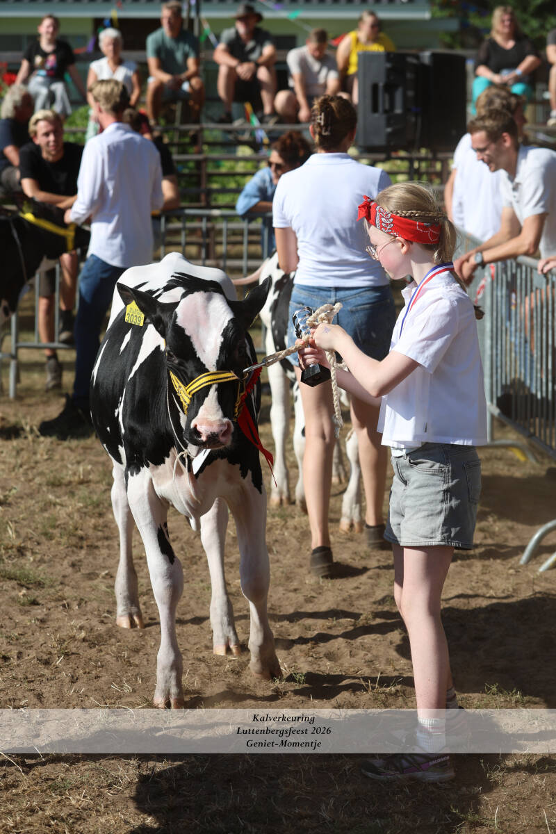 4t9a8951_resultaat-standard-n4cjsd.jpg