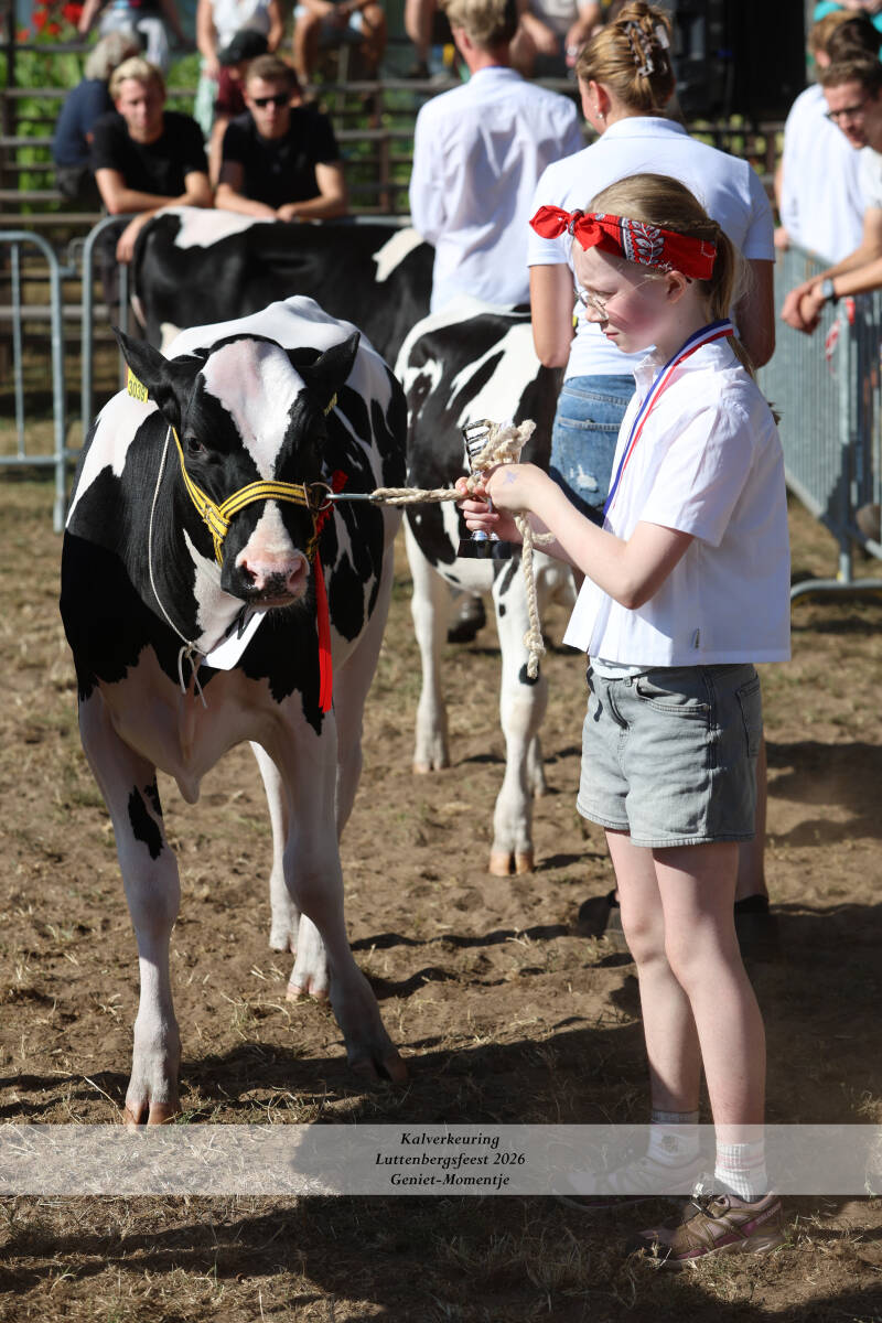 4t9a8952_resultaat-standard-fojrul.jpg