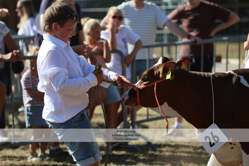4t9a8959_resultaat-standard-izw4al.jpg