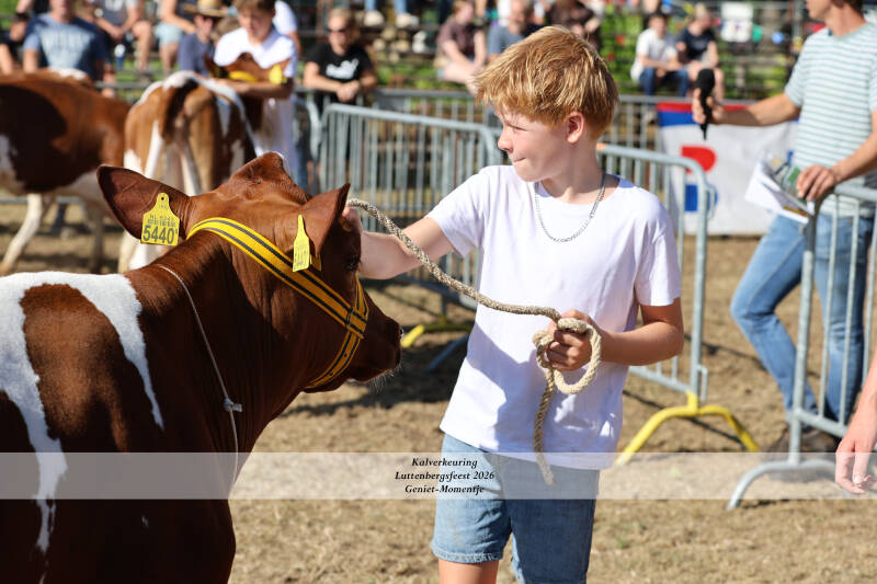 4t9a8963_resultaat-standard.jpg