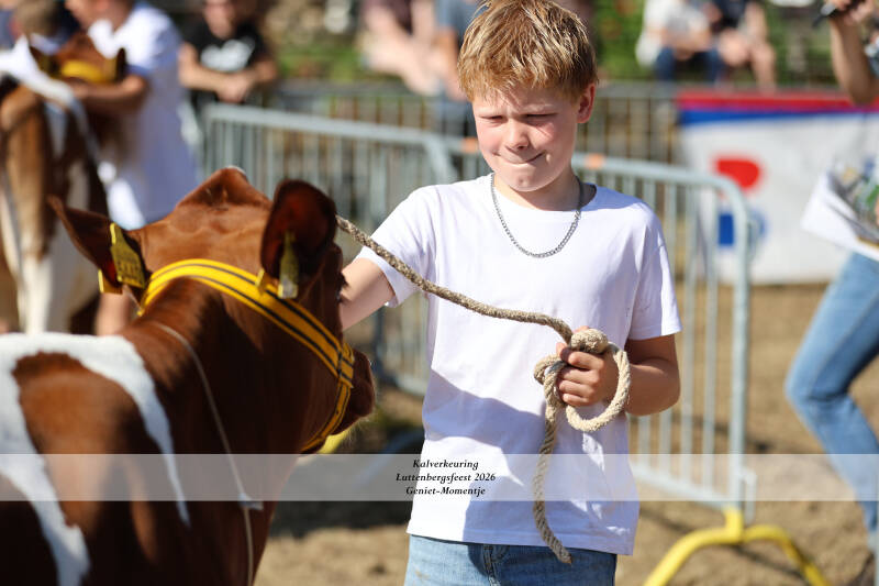 4t9a8964_resultaat-standard-tkxk69.jpg
