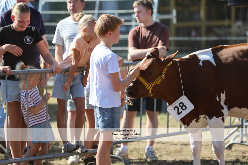 4t9a8965_resultaat-standard-d70rfy.jpg