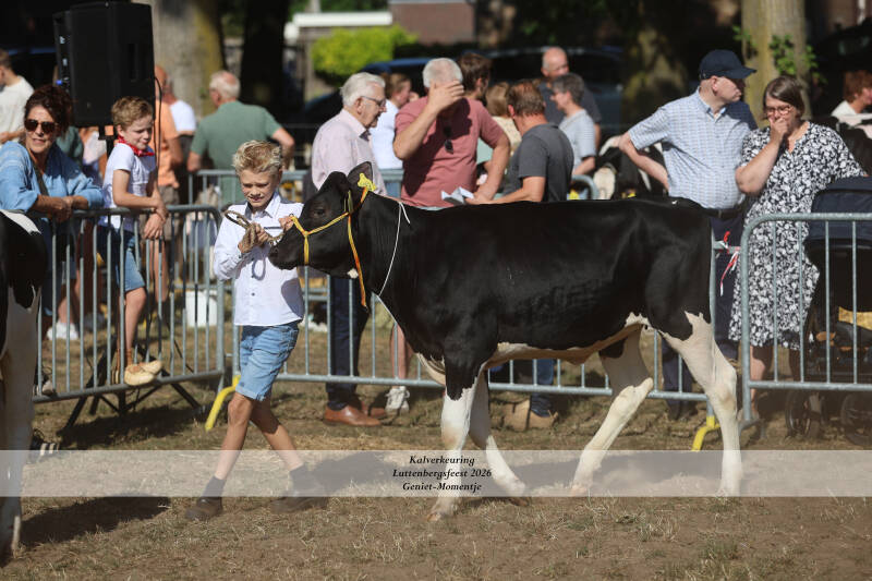 4t9a8978_resultaat-standard-s8d0kk.jpg