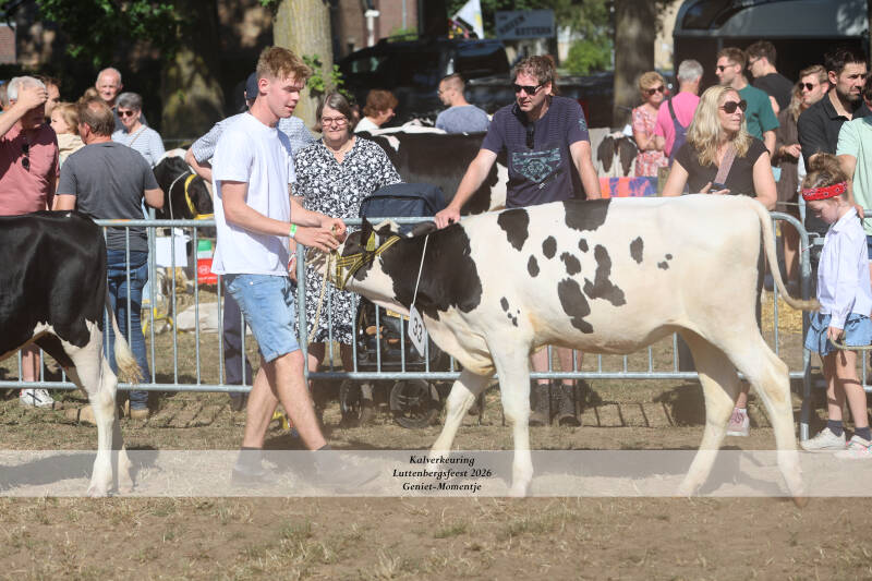 4t9a8979_resultaat-standard.jpg