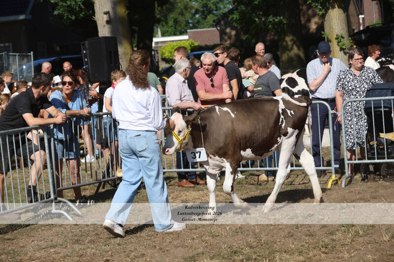 4t9a8982_resultaat-standard-0ae2fm.jpg
