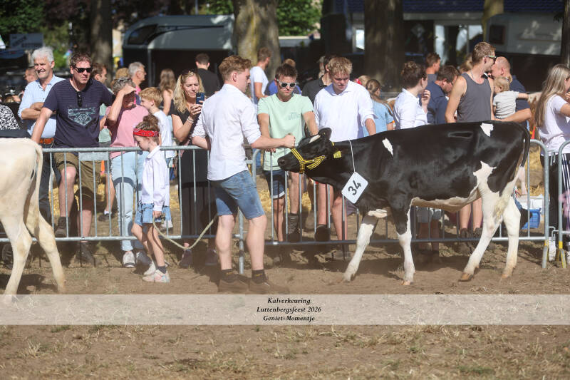 4t9a8985_resultaat-standard-e5cd24.jpg