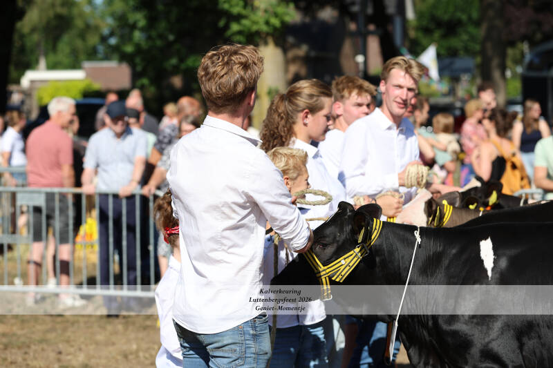 4t9a8986_resultaat-standard-9oc1dx.jpg