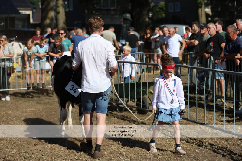 4t9a8998_resultaat-standard-qxb52l.jpg