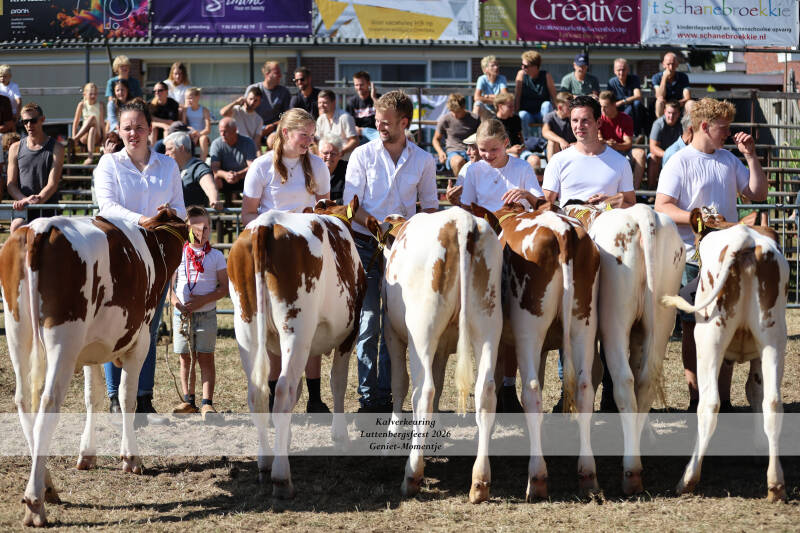 4t9a9013_resultaat-standard-at37mv.jpg