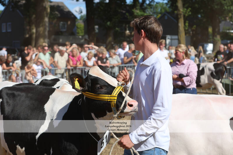 4t9a9030_resultaat-standard-aezwhl.jpg