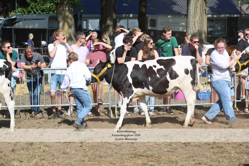 4t9a9037_resultaat-standard-17qg1b.jpg