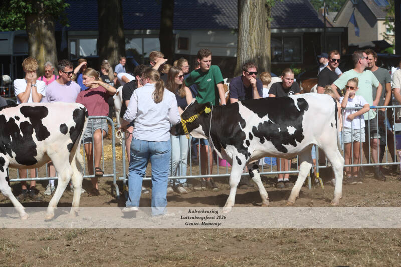 4t9a9038_resultaat-standard-414z46.jpg