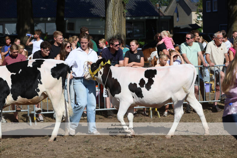 4t9a9041_resultaat-standard-i7hurl.jpg