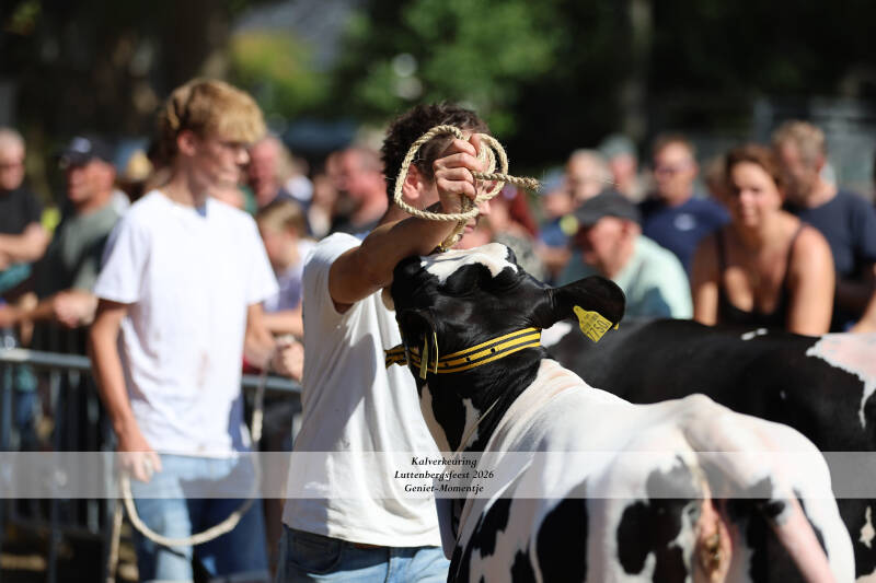 4t9a9111_resultaat-standard-6cp2y8.jpg