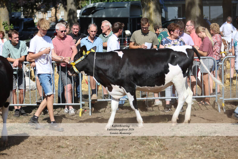 4t9a9135_resultaat-standard-imbcpi.jpg