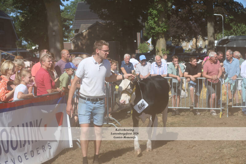 4t9a9137_resultaat-standard-v4zujh.jpg