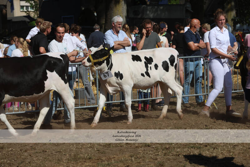 4t9a9140_resultaat-standard-qg54xo.jpg
