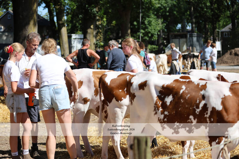 4t9a9143_resultaat-standard-d7i6os.jpg