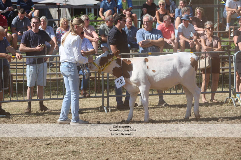 4t9a9153_resultaat-standard-6pjcp0.jpg