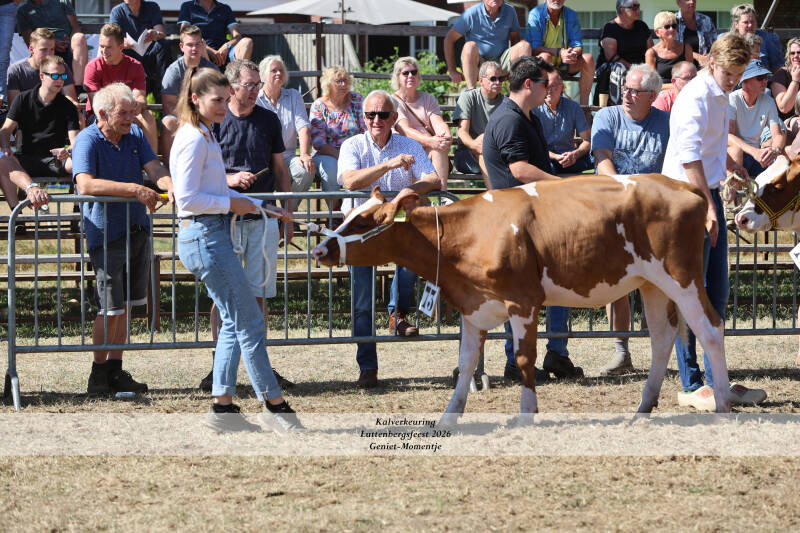 4t9a9154_resultaat-standard.jpg