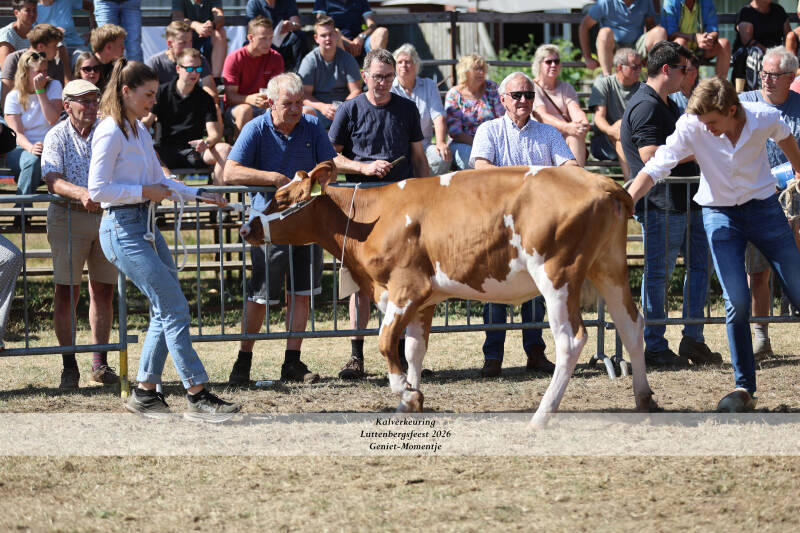 4t9a9155_resultaat-standard-ddodwy.jpg