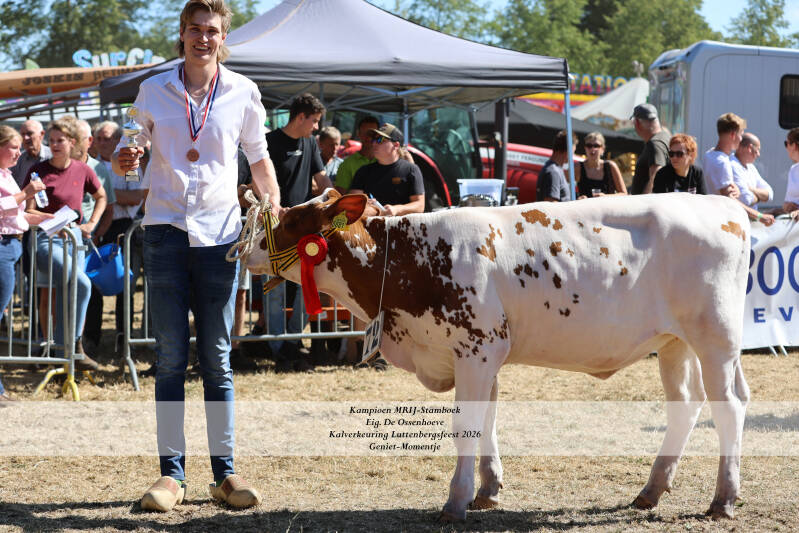 4t9a9164_resultaat-standard.jpg