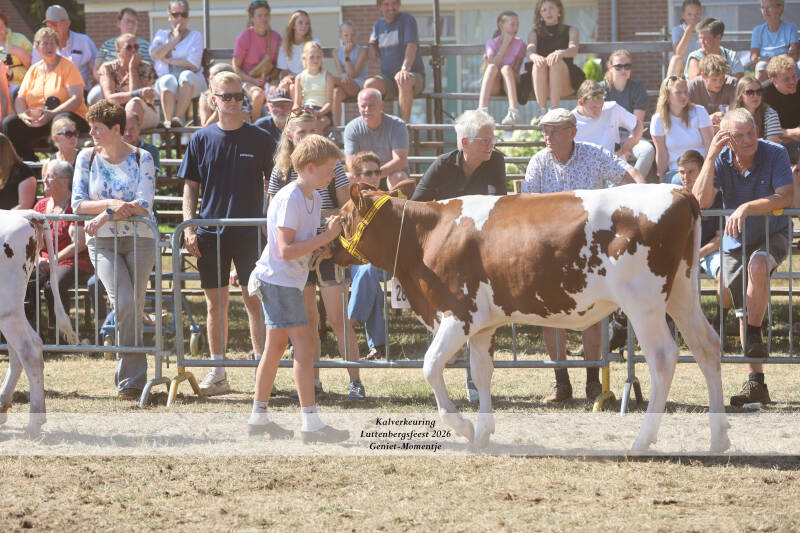 4t9a9172_resultaat-standard-wgkcea.jpg
