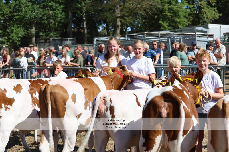 4t9a9178_resultaat-standard-rlqgft.jpg