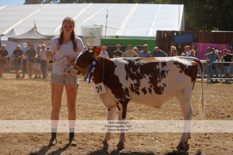4t9a9188_resultaat-standard-8u9u46.jpg