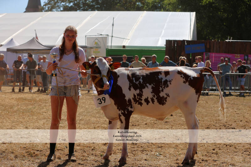 4t9a9198_resultaat-standard-lqihj7.jpg