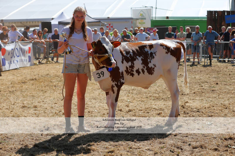 4t9a9213_resultaat-standard-4pya8y.jpg