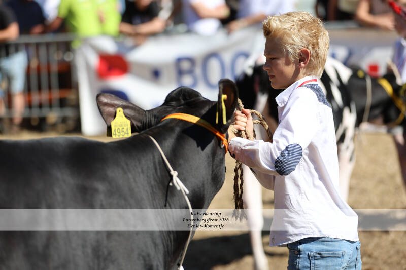 4t9a9221_resultaat-standard.jpg