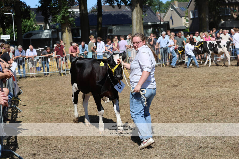 4t9a9234_resultaat-standard.jpg