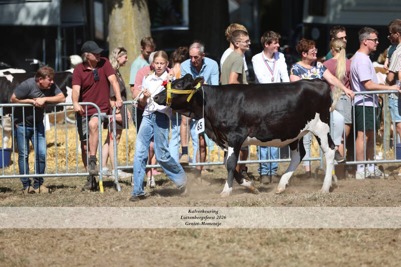 4t9a9235_resultaat-standard-8bwo1k.jpg