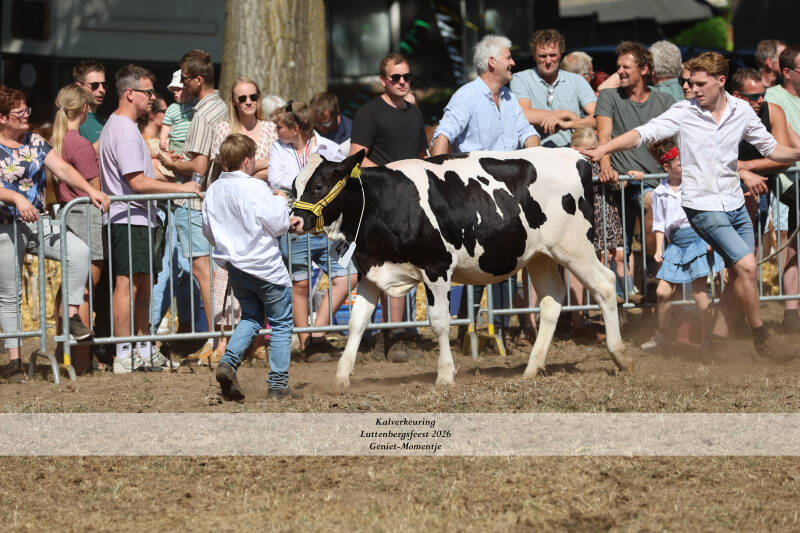 4t9a9237_resultaat-standard-6vl5m8.jpg