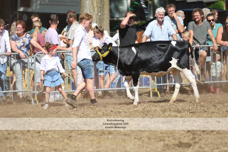 4t9a9240_resultaat-standard-f9sbkt.jpg