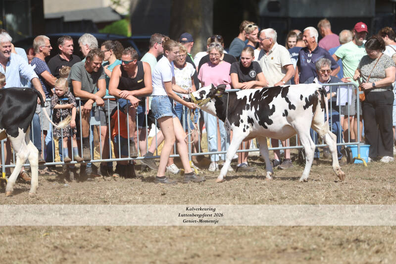 4t9a9242_resultaat-standard.jpg