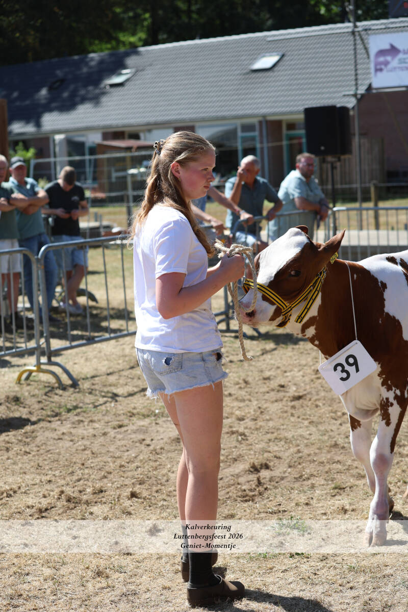 4t9a9266_resultaat-standard.jpg
