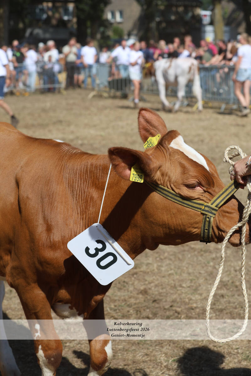 4t9a9271_resultaat-standard-xh293o.jpg