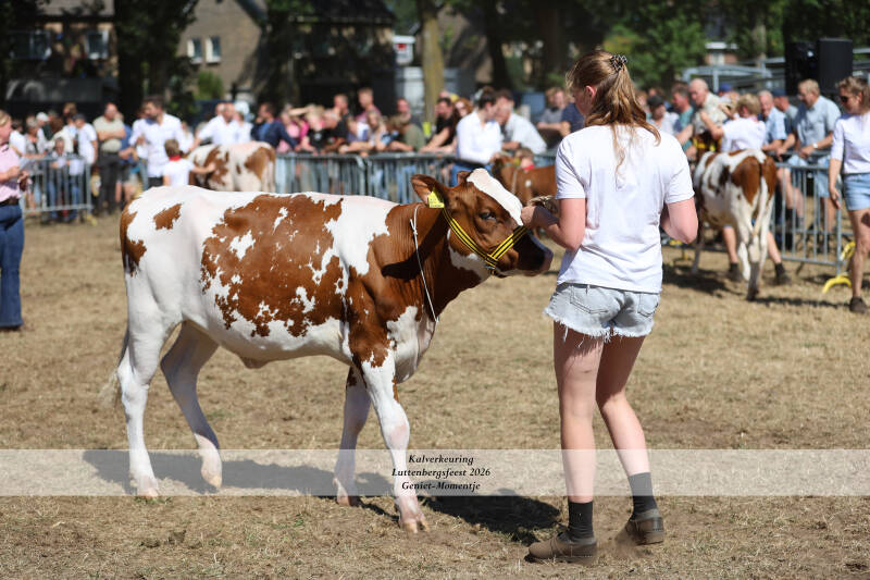 4t9a9275_resultaat-standard-5ieeh0.jpg