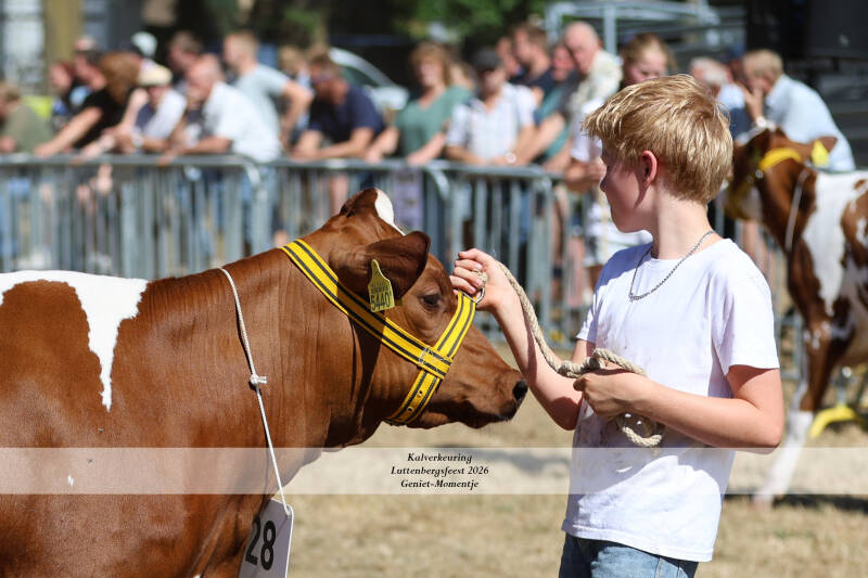 4t9a9277_resultaat-standard-apg53p.jpg